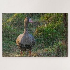 Quebra-cabeça Ganso Maior Frontal Branco