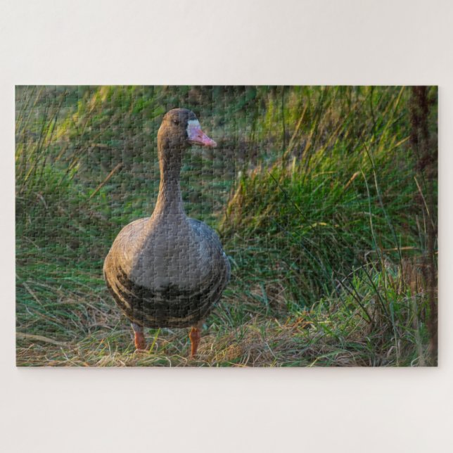 Quebra-cabeça Ganso Maior Frontal Branco (Horizontal)