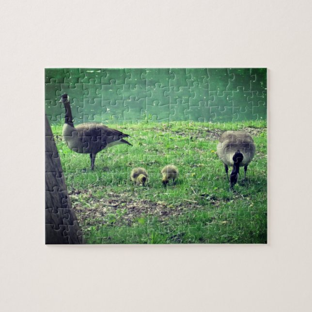 Quebra-cabeça Gansos e Goslings Relaxando Autoatendimento (Horizontal)