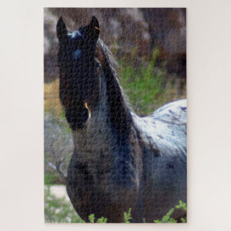 Quebra-cabeça Garanhão Selvagem em Utah