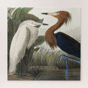 Quebra-cabeça Garça-real from Birds of America