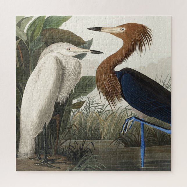 Quebra-cabeça Garça-real from Birds of America (Vertical)
