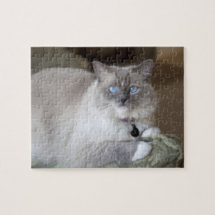Quebra-cabeça Gata Ragdoll fêmea