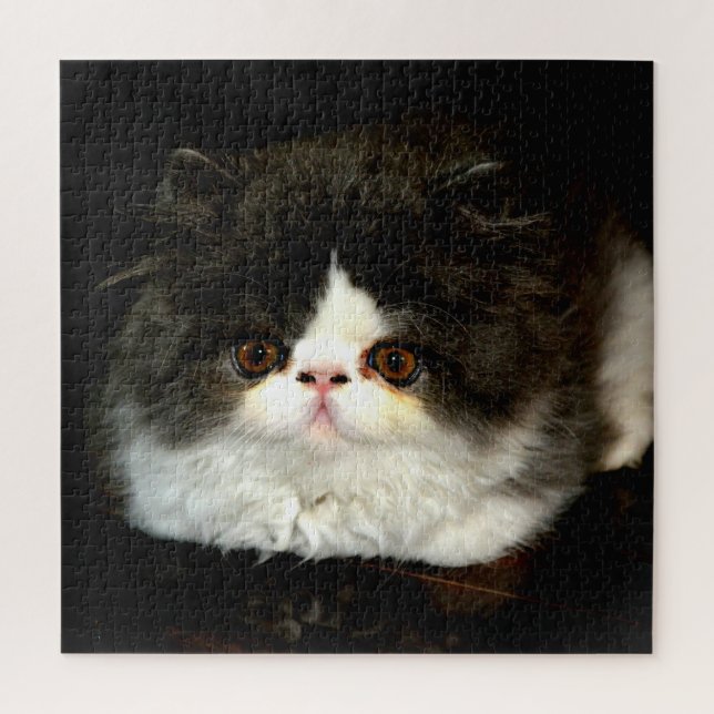 Quebra-cabeça Gatinho branco e preto (Vertical)