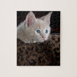 Quebra-cabeça Gatinho Creme com Olhos Azuis Lindos