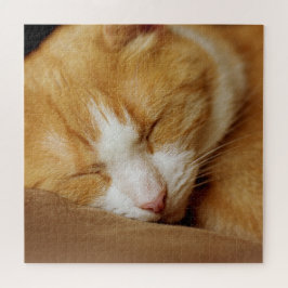 Quebra-cabeça Gatinho Dormindo