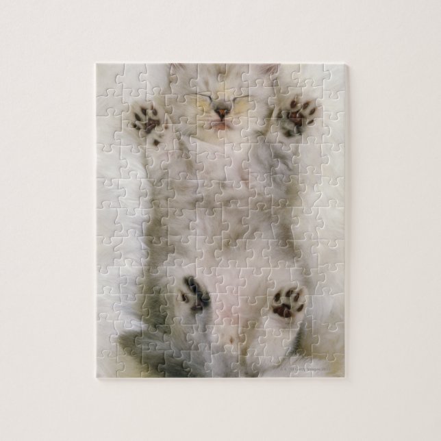Quebra-cabeça Gatinho dormindo em um tapete liso branco, alto (Vertical)