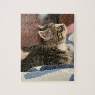 Quebra-cabeça Gatinho Fofo Deixe esta imagem ou adicione sua p