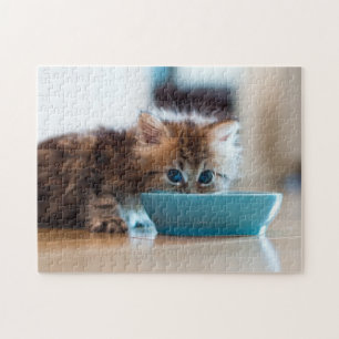 Quebra-cabeça Gatinho persa novo