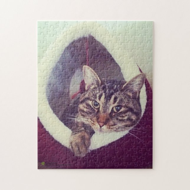 Quebra-cabeça Gatinho Tabby Na Fotografia De Fechamento Do Hut (Vertical)