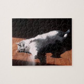 Quebra-cabeça gatinho tomando banho de sol