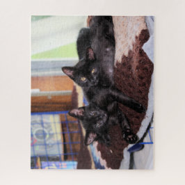 Quebra-cabeça Gatinhos