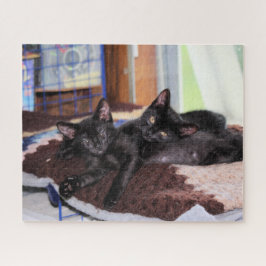 Quebra-cabeça Gatinhos