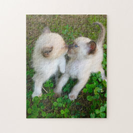 Quebra-cabeça gatinhos se beijando