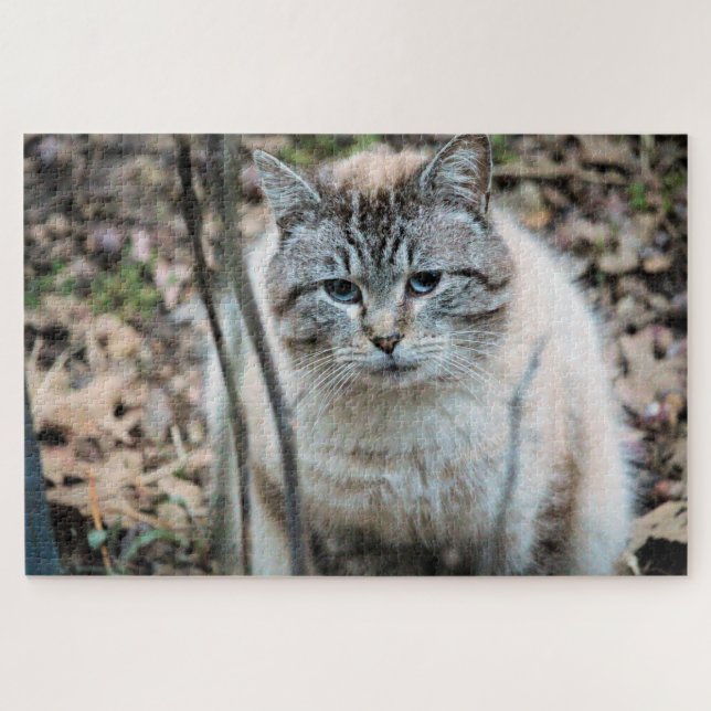 Quebra-cabeça Gato (Horizontal)