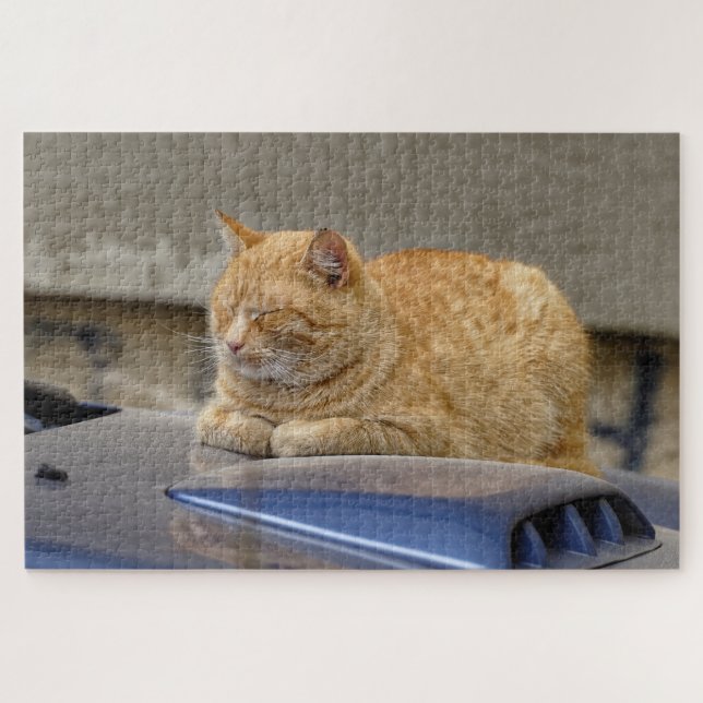 Quebra-cabeça Gato adormecido (Horizontal)