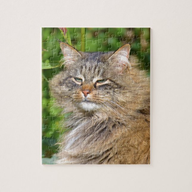 Quebra-cabeça Gato Angora (Vertical)