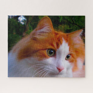 Quebra-cabeça Gato Angorá Turco.