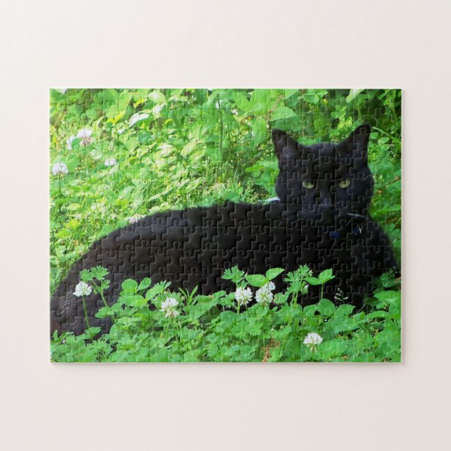 Quebra-cabeça Gato Bombaim Deitado em Puzzle de Trevo Verde (Horizontal)