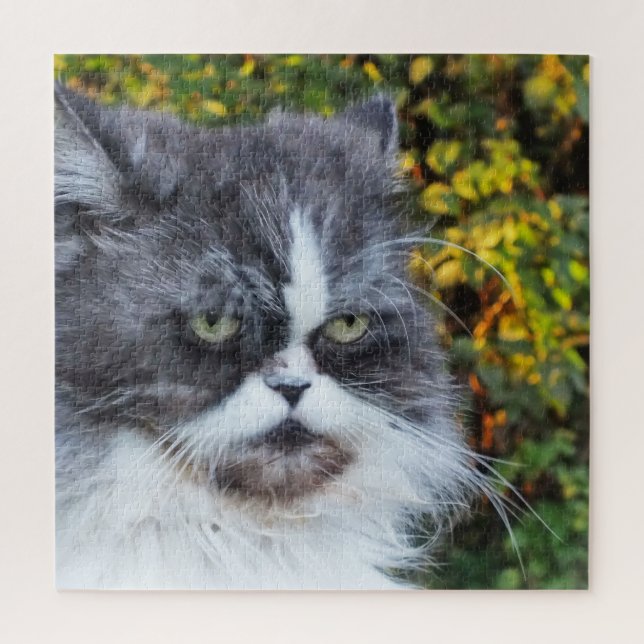 Quebra-cabeça gato, bonitinho, cinza, peluche, doméstico, felino (Vertical)