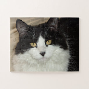 Quebra-cabeça Gato Bonito de Cabelo Longo, Preto e Branco