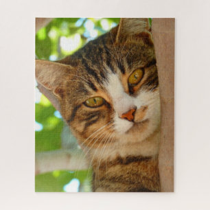 Quebra-cabeça Gato Bonito Subindo uma Árvore
