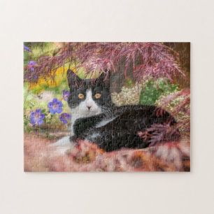 Quebra-cabeça Gato branco-preto bonito descendo sob uma árvore
