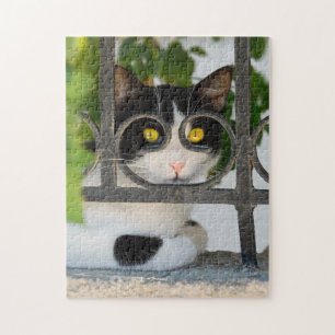 Quebra-cabeça Gato Curioso com Óculos Enquadre Engraçado
