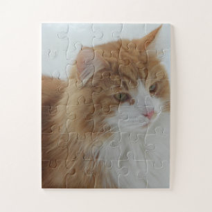 Quebra-cabeça Gato_da_Floresta_Norueguesa