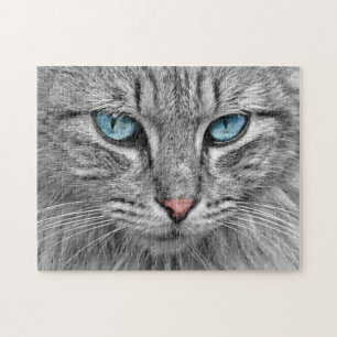 Quebra-cabeça Gato de Cinza com olhos azuis