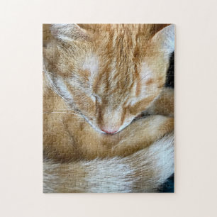 Quebra-cabeça Gato de dormir laranja