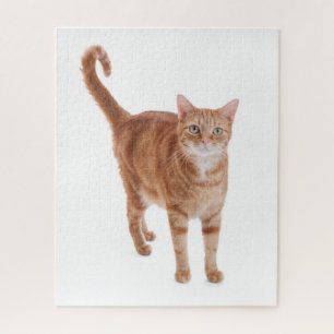 Quebra-cabeça Gato de gato malhado alaranjado
