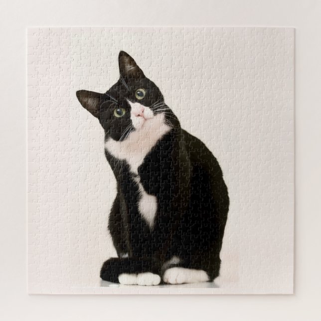 Quebra-cabeça gato de tuxedo fofo (Vertical)