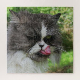 Quebra-cabeça gato, fofo, animal de estimação, cinza, peludo, do