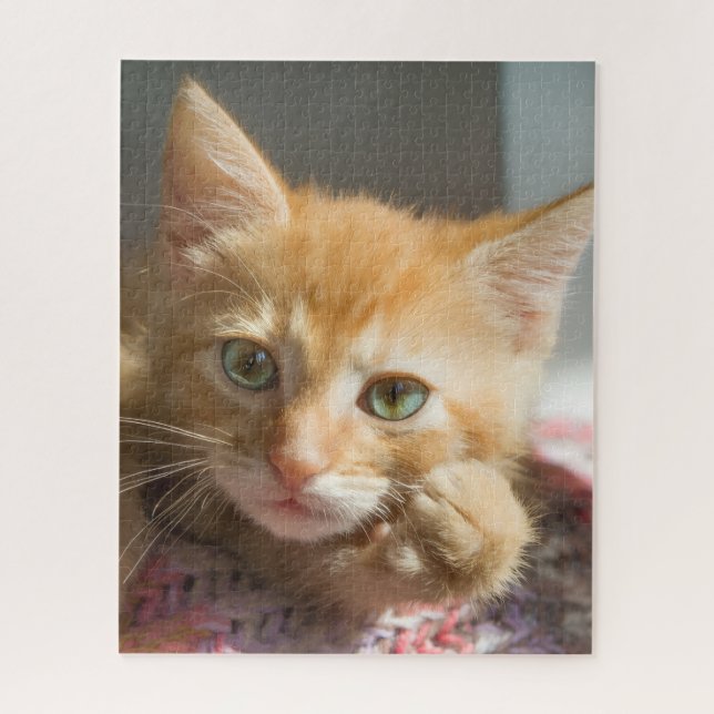 QUEBRA-CABEÇA GATO GINGER DE ANIVERSÁRIO  (Vertical)