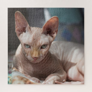 Quebra-cabeça Gato giro saltando sem pelo