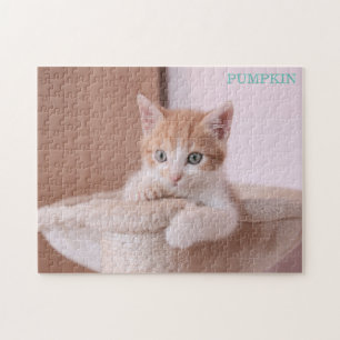 Quebra-cabeça Gato Laranja na Árvore de Gato/Gato Laranja