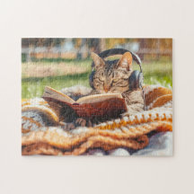 Gato lendo livro em cobertor de tricô