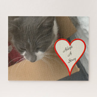 Quebra-cabeça Gato na caixa