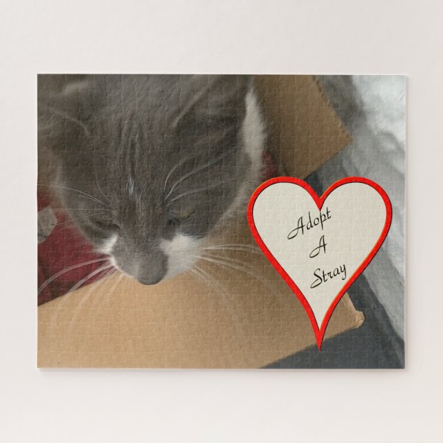 Quebra-cabeça Gato na caixa (Horizontal)