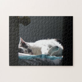 Quebra-cabeça Gato no Sunspot Não Incomodar