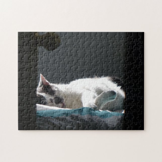 Quebra-cabeça Gato no Sunspot Não Incomodar (Horizontal)