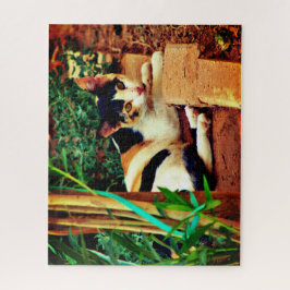 Quebra-cabeça Gato Pequeno