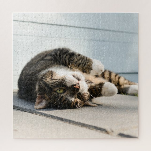 Quebra-cabeça Gato preguiçoso descansando na varanda (Vertical)
