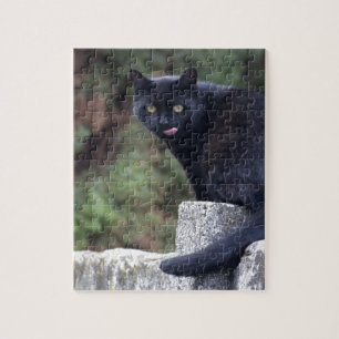 Quebra-cabeça Gato preto