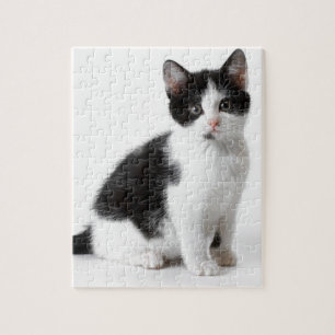 Quebra-cabeça Gato preto e branco do gatinho engraçado bonito