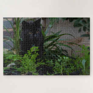Quebra-cabeça Gato Preto Oculto nas Plantas, 1014 pedaços
