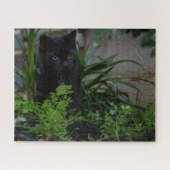 Quebra-cabeça Gato Preto Oculto nas Plantas, 520 pedaços (Horizontal)