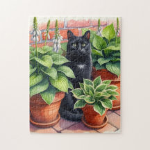Gato Preto Sentado no Jardim de Hosta