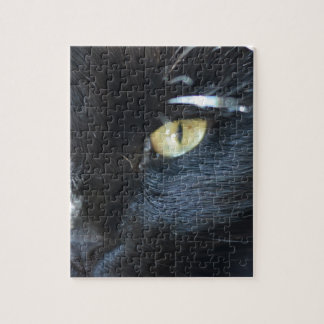 Quebra-cabeça Gato que Eyeing o